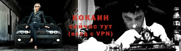 шишки Аркадак