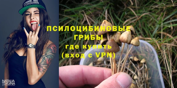 мескалин Арсеньев