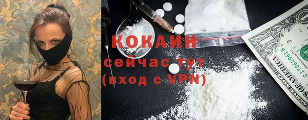 шишки Аркадак