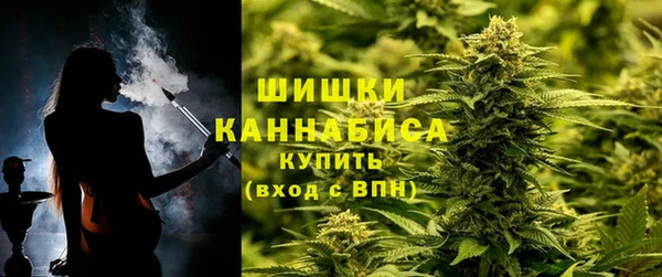 шишки Аркадак