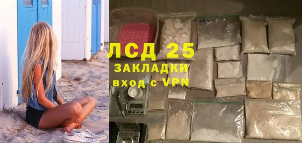 шишки Аркадак