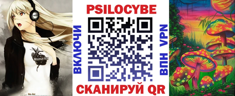 продажа наркотиков  Новоузенск  Псилоцибиновые грибы Magic Shrooms 