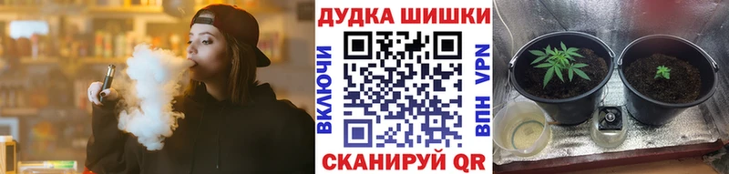Шишки марихуана Amnesia  MEGA сайт  Новоузенск 